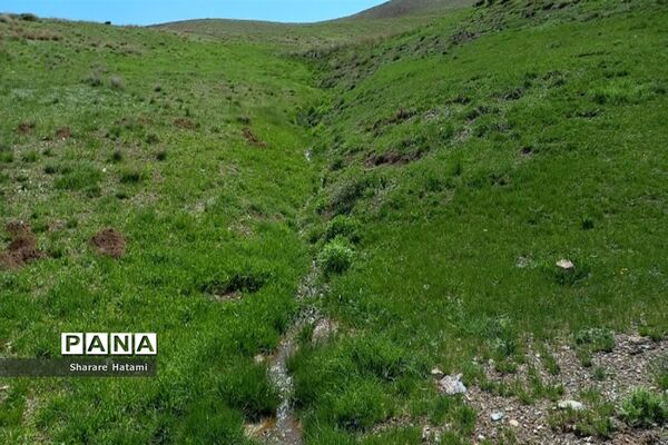 طبیعت زیبای روستای بارده، کرسنک