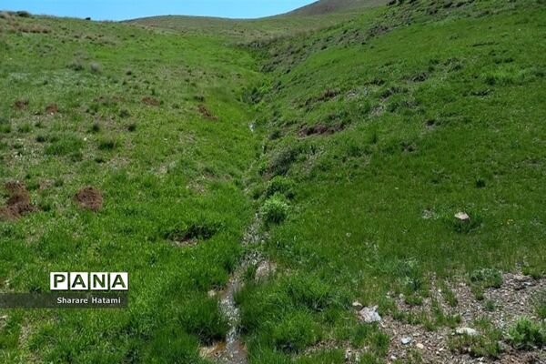 طبیعت زیبای روستای بارده، کرسنک