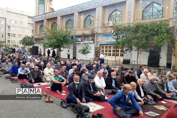 برگزاری مراسم نماز عید فطر در مسجد نبی