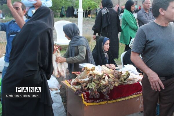 برگزاری سومین جشنواره ریواس در شهرستان ریوش