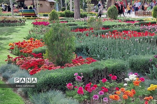 باغ گل کرج