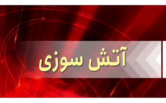 تلف شدن ۴۰۰ قطعه کبوتر در سراب