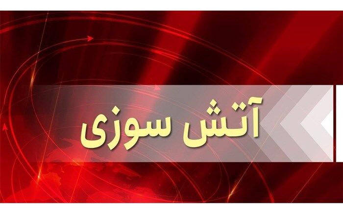 تلف شدن ۴۰۰ قطعه کبوتر در سراب