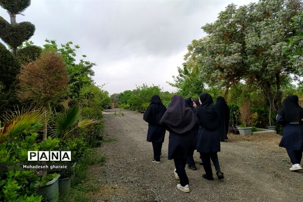 بازدید دانش‌آموزان دبیرستان نوشین بختیاری از گلخانه آلاله بخش جوادآباد بمناسبت هفته مشاغل