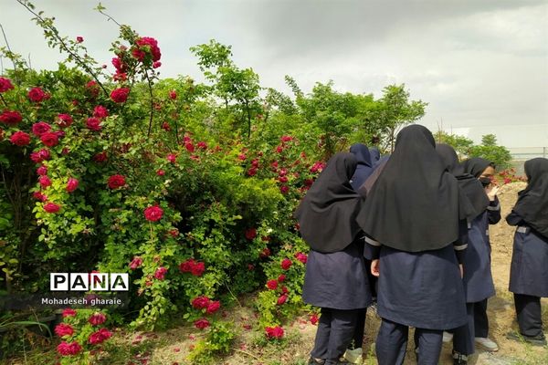 بازدید دانش‌آموزان دبیرستان نوشین بختیاری از گلخانه آلاله بخش جوادآباد بمناسبت هفته مشاغل