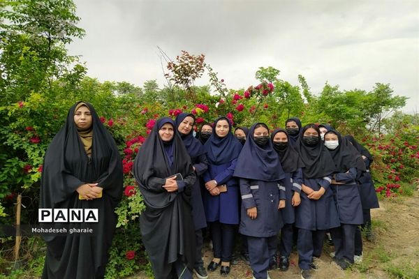 بازدید دانش‌آموزان دبیرستان نوشین بختیاری از گلخانه آلاله بخش جوادآباد بمناسبت هفته مشاغل