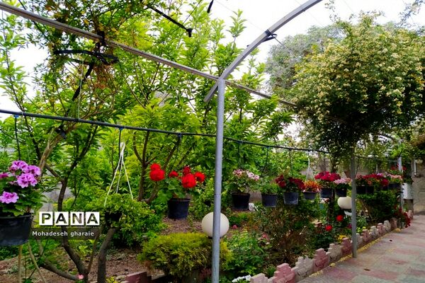 بازدید دانش‌آموزان دبیرستان نوشین بختیاری از گلخانه آلاله بخش جوادآباد بمناسبت هفته مشاغل