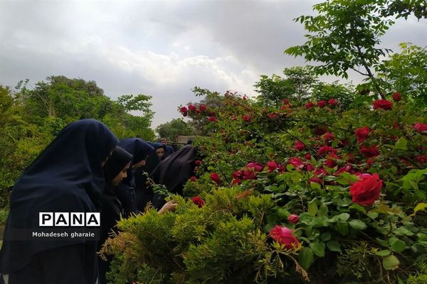 بازدید دانش‌آموزان دبیرستان نوشین بختیاری از گلخانه آلاله بخش جوادآباد بمناسبت هفته مشاغل