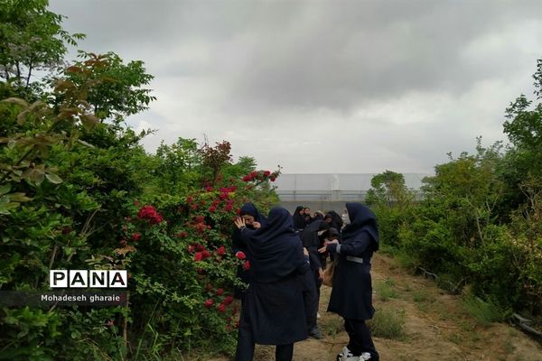 بازدید دانش‌آموزان دبیرستان نوشین بختیاری از گلخانه آلاله بخش جوادآباد بمناسبت هفته مشاغل