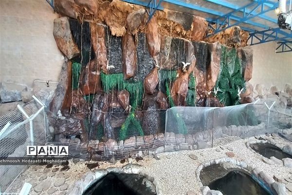 تاسیس پارک کروکودیل با بیش از ۸۰ کروکودیل متفاوت