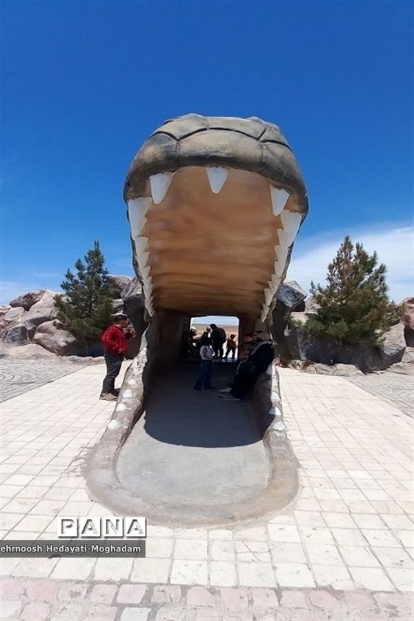 تاسیس پارک کروکودیل با بیش از ۸۰ کروکودیل متفاوت