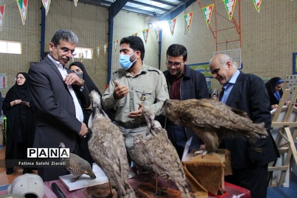 افتتاح نمایشگاه مشاغل در بوشهر