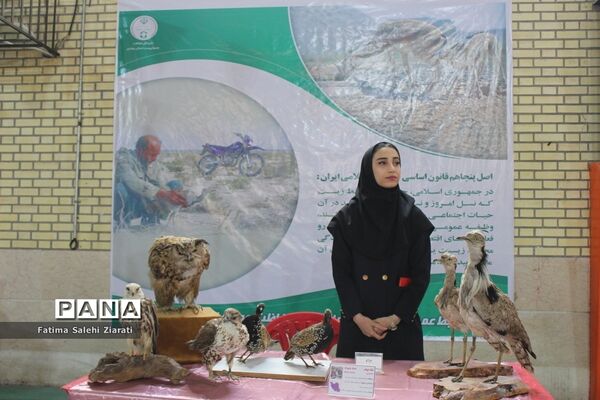 افتتاح نمایشگاه مشاغل در بوشهر