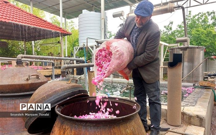هفته میمند و جشن روز ملی شهر گُل و گُلاب در استان فارس /فیلم