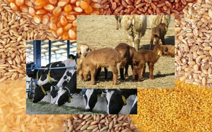 کاهش 19 درصدی واردات نهاده‌های دامی در سال 1401