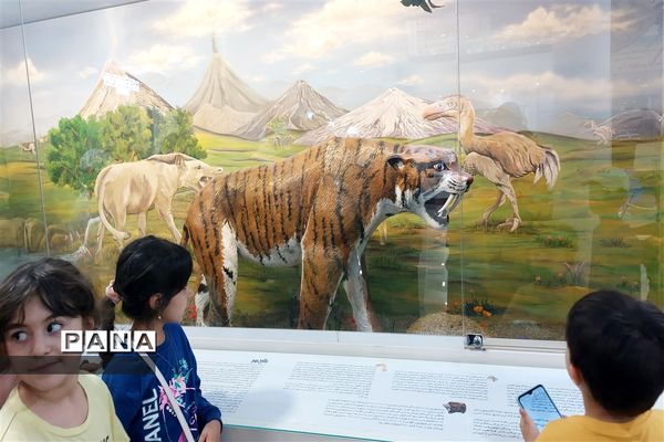 برگزاری کارگاه آشنایی با شهاب سنگ ها در پارک موزه علوم زمین مشهد