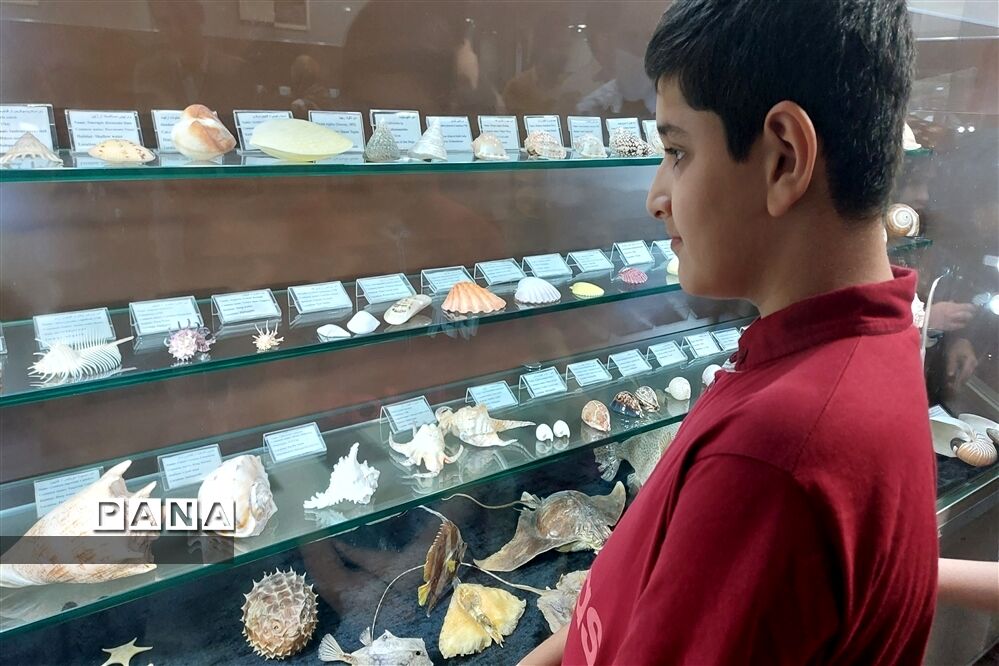 برگزاری کارگاه آشنایی با شهاب سنگ ها در پارک موزه علوم زمین مشهد