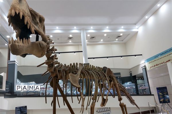 برگزاری کارگاه آشنایی با شهاب سنگ ها در پارک موزه علوم زمین مشهد