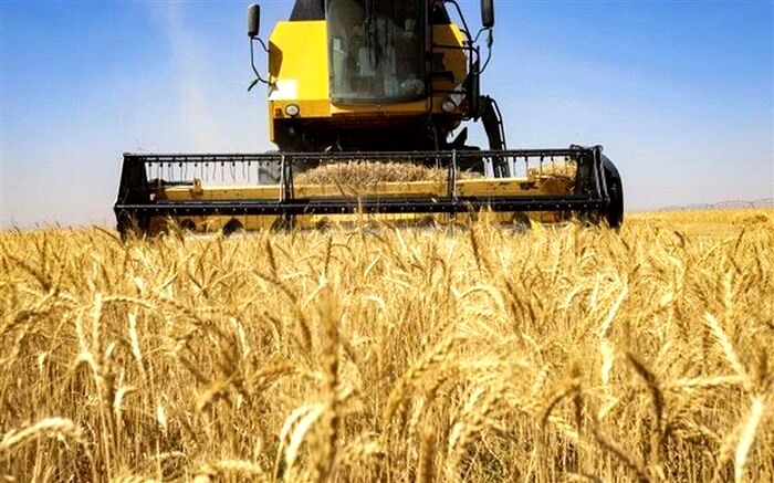 شرط آقا‌میری برای واردات محصولات کشاورزی