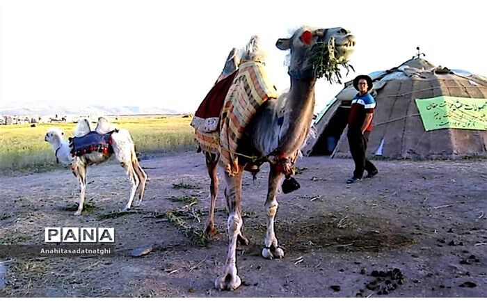 اختتامیه جشنواره کوچ عشایر شاهسون جعفرآباد مغان