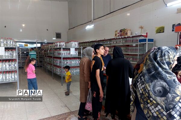 آغاز برداشت گل محمدی از باغات شهر میمند