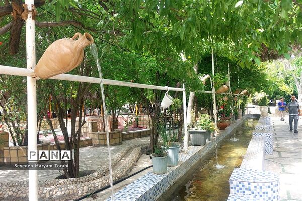 آغاز برداشت گل محمدی از باغات شهر میمند
