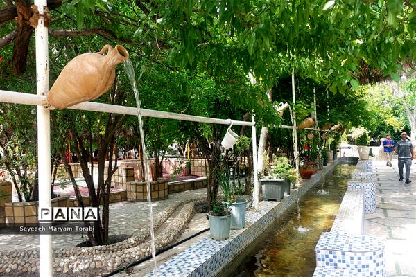 آغاز برداشت گل محمدی از باغات شهر میمند