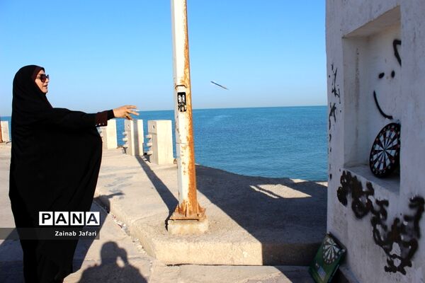 همایش پیاده‌روی و مسابقات ورزشی کارمندان در بوشهر