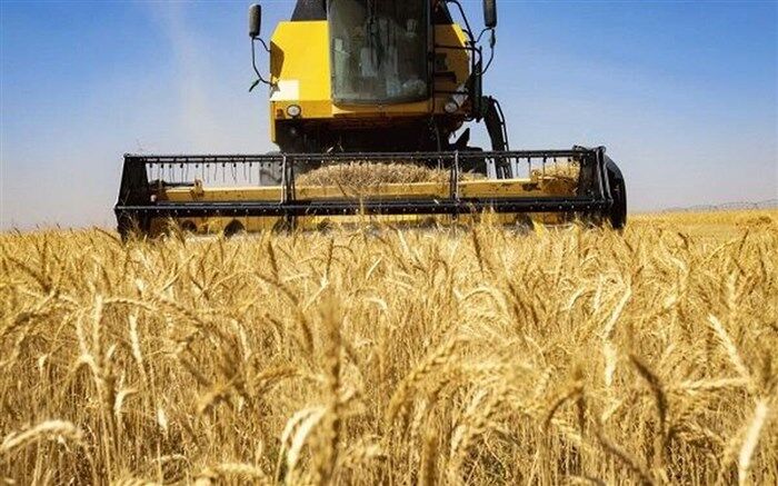 آمادگی صندوق بیمه کشاورزی برای حمایت از اجرای الگوی کشت محصولات باغی