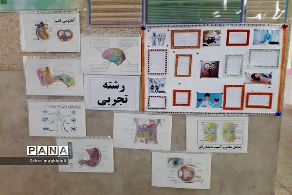 برپایی نمایشگاه معرفی مشاغل خانگی در مدرسه مهربانان ملارد