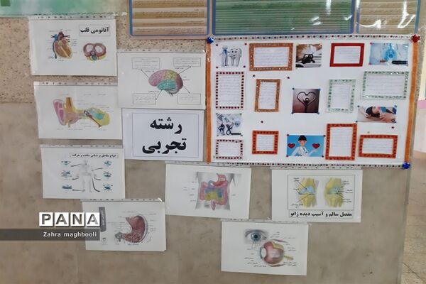 برپایی نمایشگاه معرفی مشاغل خانگی در مدرسه مهربانان ملارد
