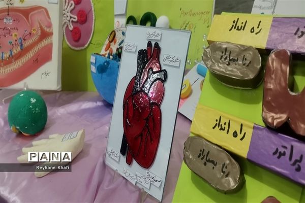 برگزاری جشنواره زیست‌شناسی در دبیرستان کوثر