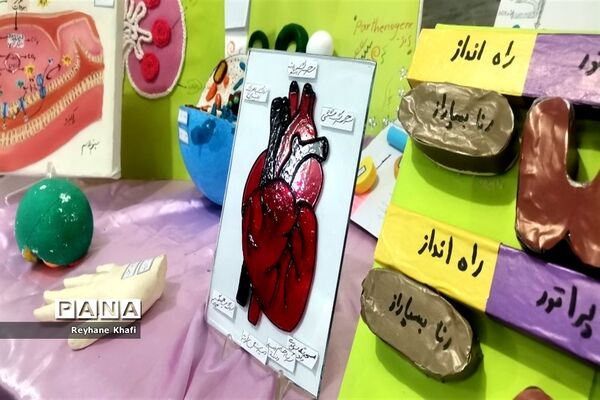 برگزاری جشنواره زیست‌شناسی در دبیرستان کوثر