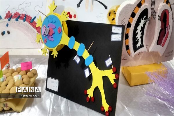 برگزاری جشنواره زیست‌شناسی در دبیرستان کوثر