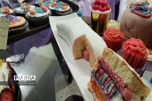 برگزاری جشنواره زیست‌شناسی در دبیرستان کوثر