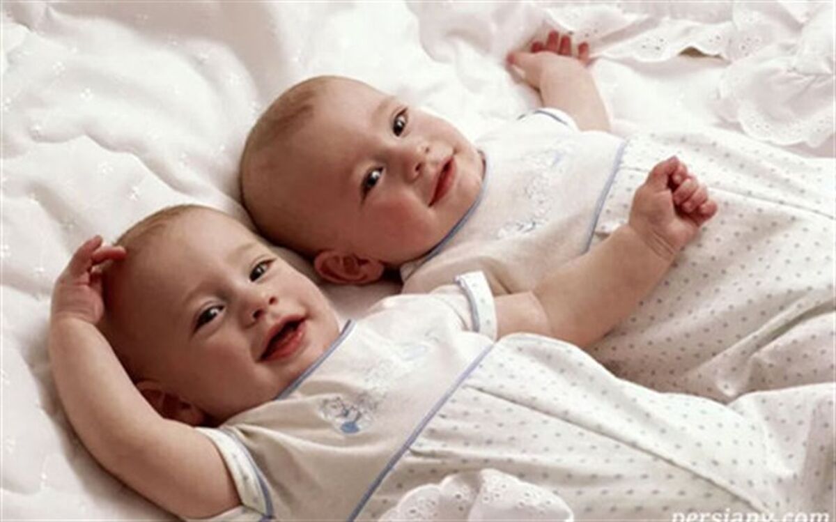 حمایت بهزیستی از خانواده‌های دارای فرزند دو قلو و بیشتر