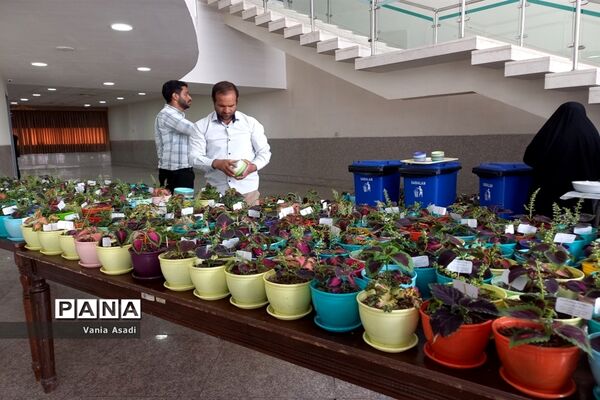 مراسم بزرگداشت مقام معلم و روز روانشناس