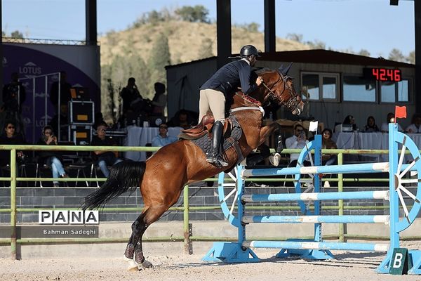 مسابقات جهانی سوارکاری  در ایران