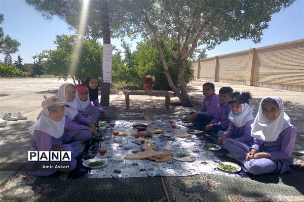 اجرای طرح صبحانه سالم در مدرسه عشایری امام حسن عسکری(ع) خاتم