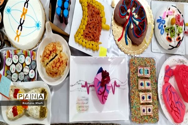 جشنواره غذای‌زیستی در پاکدشت