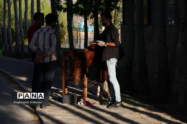 اردوی تفریحی دانش‌آموزان نخبه قرآنی قم در دهکده صبا