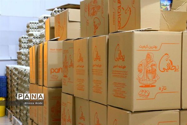 بازدید خبرنگاران از مجموعه مرغ صالحی کاشمر