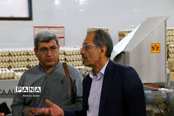 بازدید خبرنگاران از مجموعه مرغ صالحی کاشمر