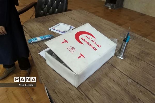 آموزش مهارت‌های تشکیلاتی به دانش‌آموزان دبستان دخترانه معارف6 ناحیه 3 شیراز