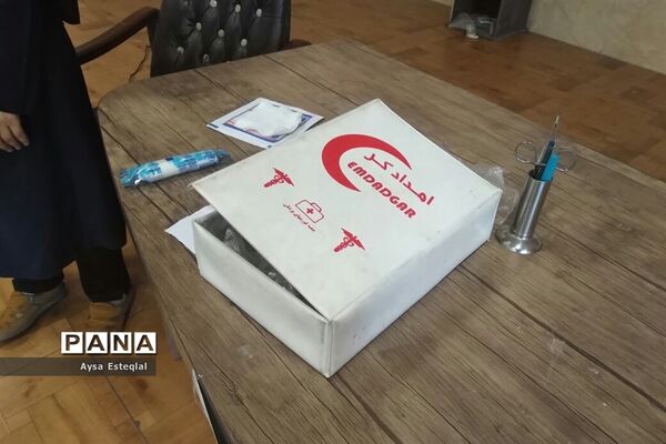 آموزش مهارت‌های تشکیلاتی به دانش‌آموزان دبستان دخترانه معارف6 ناحیه 3 شیراز