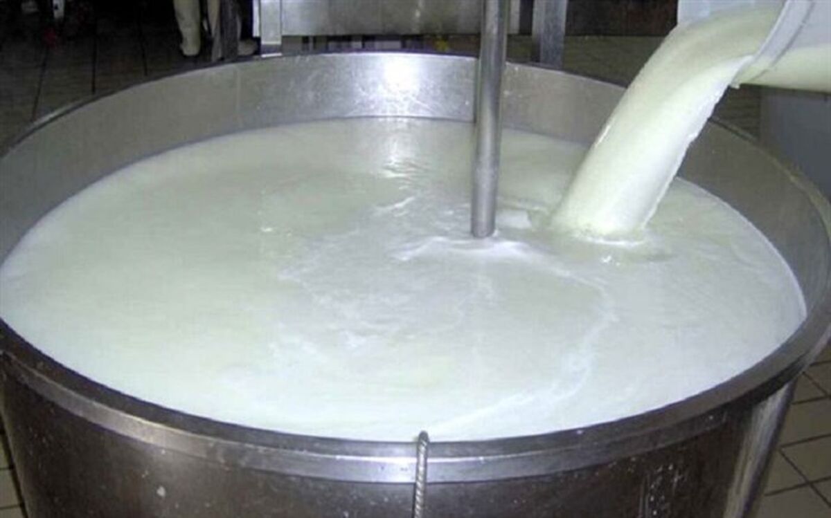 اگر قیمت مصوب شیر اصلاح نشود تولید آن کم می‌شود