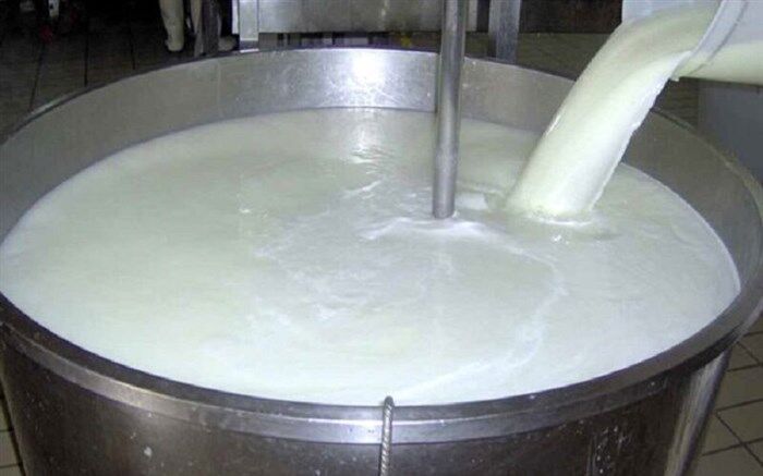 اگر قیمت مصوب شیر اصلاح نشود تولید آن کم می‌شود