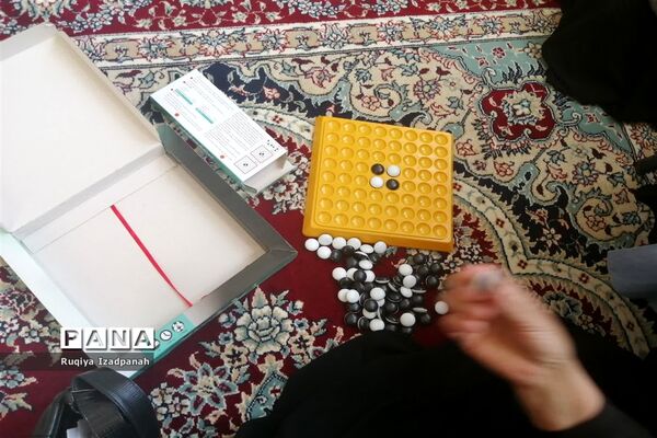 برگزاری کارگاه آموزشی بازی‌های فکری در خاتم