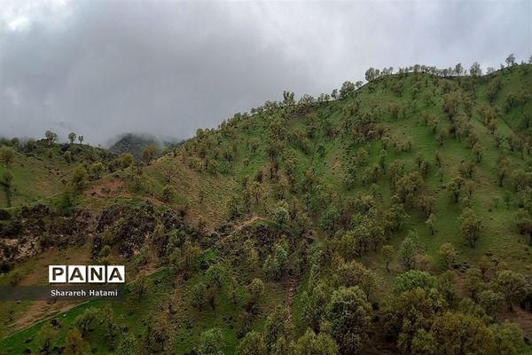 طبیعت سحرانگیز ایذه در فصل بهار