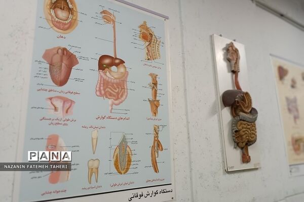بازدید دانش‌آموزان دبیرستان حضرت زینب(س) از پژوهش‌سرای دانش‌آموزی جابربن‌حیان فشافویه